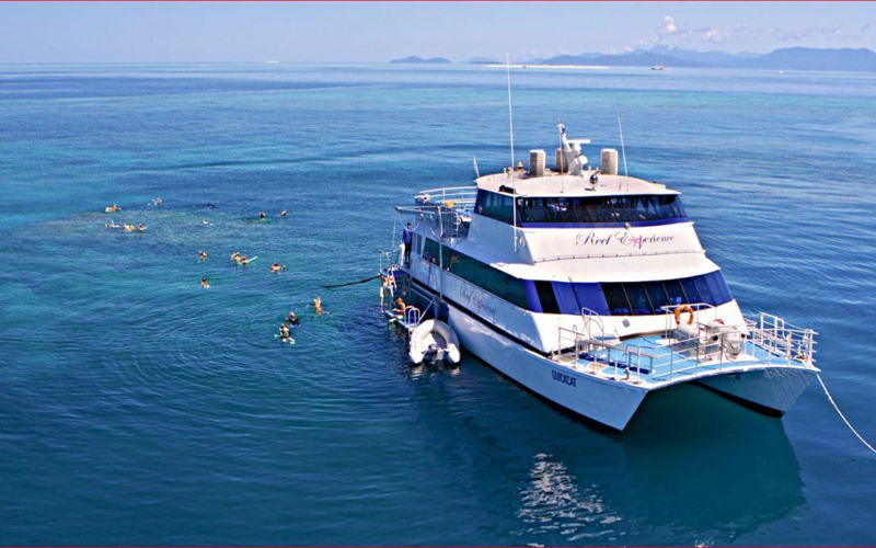 dive trips from cairns