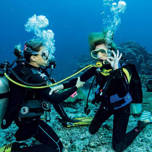 PADI Rescue course cairns