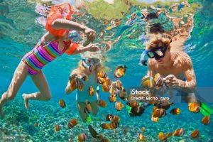 Family Snorkeling Cairns